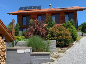 CaLegna Ferienchalet